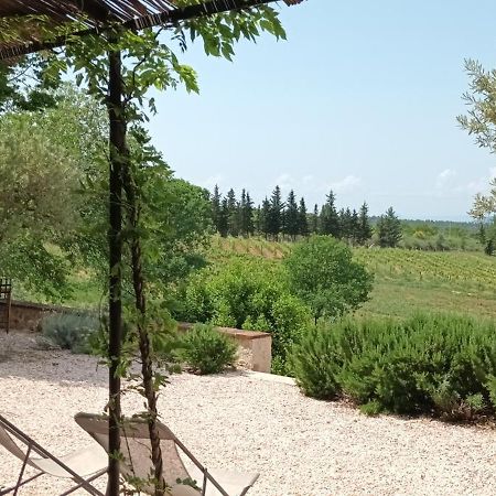 Вілла Bastide Au Milieu Des Vignes Et Des Oliviers Опс Екстер'єр фото
