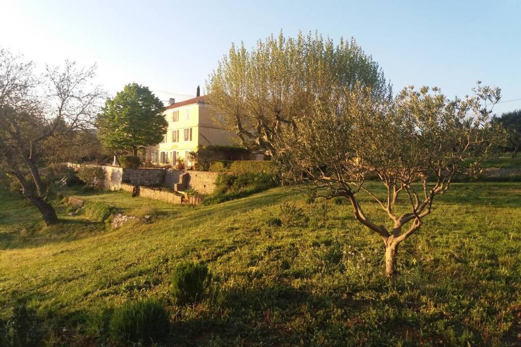 Вілла Bastide Au Milieu Des Vignes Et Des Oliviers Опс Екстер'єр фото