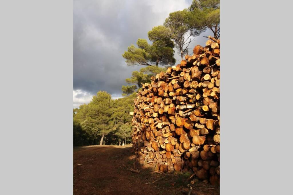 Вілла Bastide Au Milieu Des Vignes Et Des Oliviers Опс Екстер'єр фото