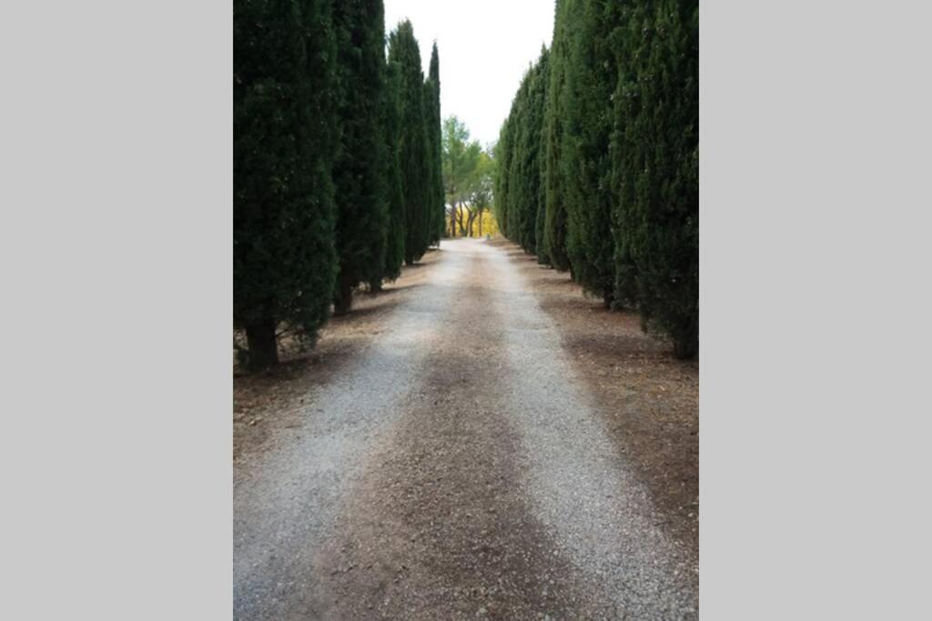 Вілла Bastide Au Milieu Des Vignes Et Des Oliviers Опс Екстер'єр фото