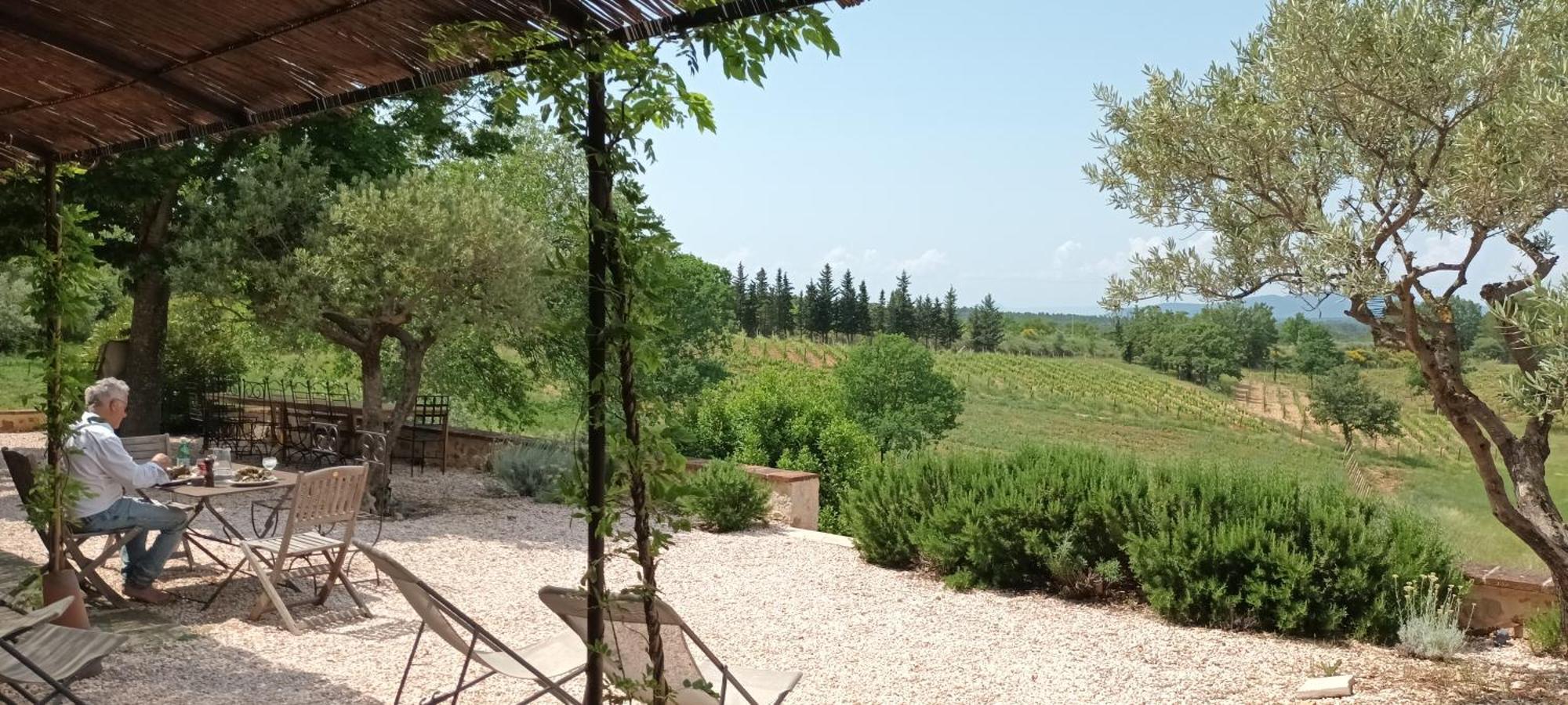 Вілла Bastide Au Milieu Des Vignes Et Des Oliviers Опс Екстер'єр фото